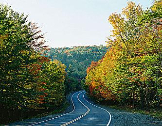 任天堂因手游马里奥赛车开箱功能被告上法庭